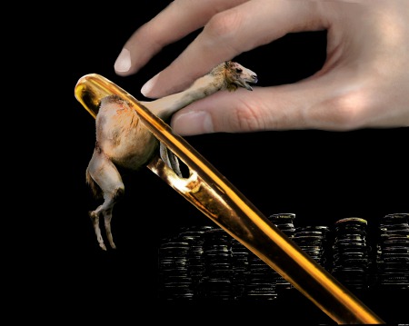 Хто може увійти до Царства Божого, - коментар Євангелія дня Хто може увійти до Царства Божого, - коментар Євангелія дня