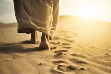 Зректися себе, взяти хрест, йти за Христом, - коментар Євангелія дня Зректися себе, взяти хрест, йти за Христом, - коментар Євангелія дня