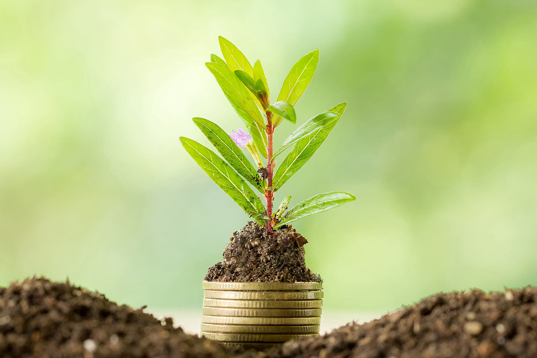 Екобюро оголошує конкурс про енергоефективність та&nbsp;енергозбереження