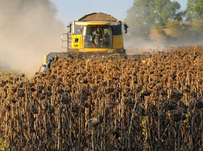 На осінніх полях Кіровоградщини триває збір урожаю.
Аграрії збирають круп'яні та технічні культури На осінніх полях Кіровоградщини триває збір урожаю.
Аграрії збирають круп'яні та технічні культури