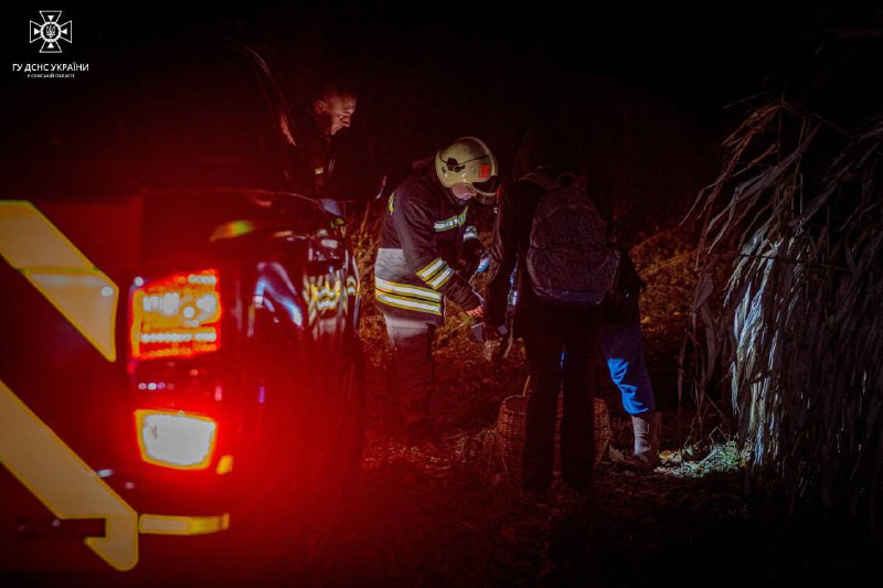 м. Суми: рятувальники оперативно відшукали двох людей, які заблукали у лісі м. Суми: рятувальники оперативно відшукали двох людей, які заблукали у лісі