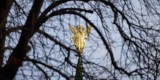 Глава держави прийняв вірчі грамоти від послів ПАР, Бангладеш і Гвінеї, які розпочали роботу в Україні Глава держави прийняв вірчі грамоти від послів ПАР, Бангладеш і Гвінеї, які розпочали роботу в Україні