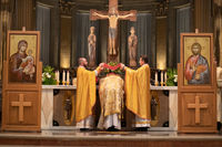 Глава УГКЦ у&nbsp;Болоньї: &laquo;Знайте, що&nbsp;Україна бореться і&nbsp;переможе, тому що&nbsp;ми&nbsp;з&nbsp;вами разом молимося&raquo;