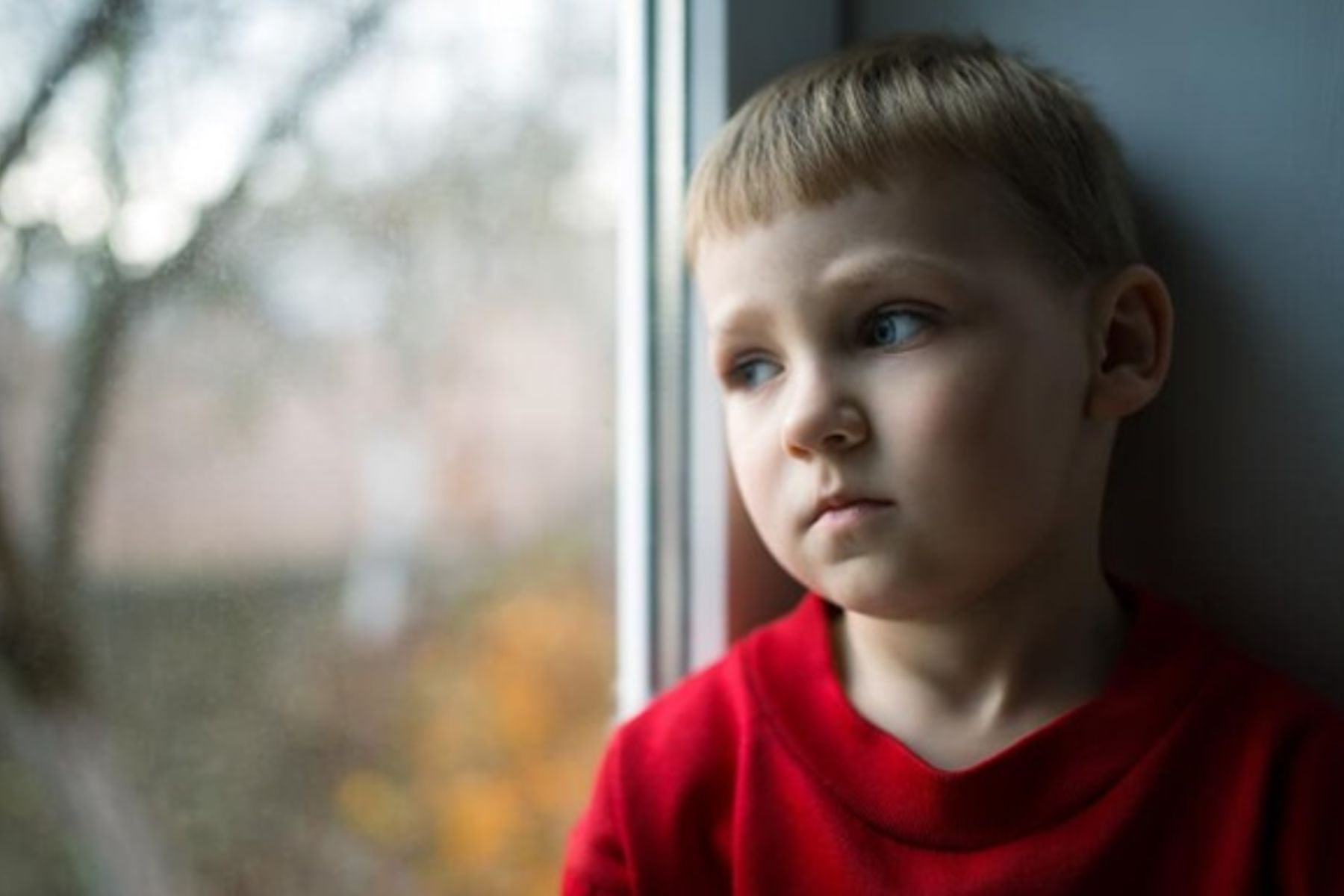 У неділю, 12 листопада, в УГКЦ молитимуться за сиріт (тексти молитов) У неділю, 12 листопада, в УГКЦ молитимуться за сиріт (тексти молитов)