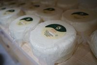 Блаженніший Святослав біля Чернівців освятив єпархіальну сироварню Блаженніший Святослав біля Чернівців освятив єпархіальну сироварню