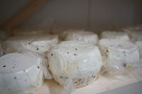 Блаженніший Святослав біля Чернівців освятив єпархіальну сироварню Блаженніший Святослав біля Чернівців освятив єпархіальну сироварню