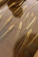 Українці до&nbsp;кардинала Дзуппі: &laquo;Війна в&nbsp;Україні ―&nbsp;це&nbsp;геноцид нашого народу; росія хоче знищити нас не&nbsp;лише бомбами, але й&nbsp;голодом&raquo;