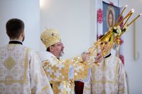 Блаженніший Святослав у&nbsp;неділю про Закхея: &laquo;Сьогодні Бог спасає тебе і&nbsp;мене своїм рухом до&nbsp;кожного й&nbsp;кожної з&nbsp;нас&raquo;