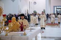 Блаженніший Святослав у&nbsp;неділю про Закхея: &laquo;Сьогодні Бог спасає тебе і&nbsp;мене своїм рухом до&nbsp;кожного й&nbsp;кожної з&nbsp;нас&raquo;