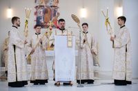 Блаженніший Святослав у&nbsp;неділю про Закхея: &laquo;Сьогодні Бог спасає тебе і&nbsp;мене своїм рухом до&nbsp;кожного й&nbsp;кожної з&nbsp;нас&raquo;