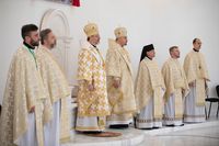 Блаженніший Святослав у&nbsp;неділю про Закхея: &laquo;Сьогодні Бог спасає тебе і&nbsp;мене своїм рухом до&nbsp;кожного й&nbsp;кожної з&nbsp;нас&raquo;