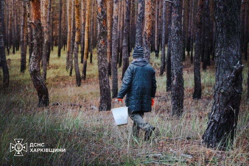 #Харківщина: щодня сапери ДСНС проводять обстеження та очищення лісових масивів, сільськогосподарських угідь... #Харківщина: щодня сапери ДСНС проводять обстеження та очищення лісових масивів, сільськогосподарських угідь...
