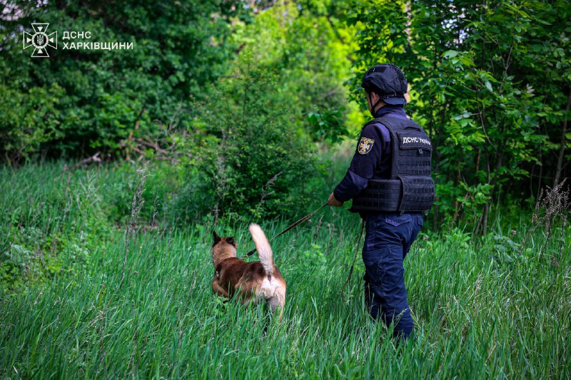 🐾На Харківщині працюють кінологічні розрахунки Міжрегіонального центру швидкого реагування ДСНС України 🐾На Харківщині працюють кінологічні розрахунки Міжрегіонального центру швидкого реагування ДСНС України