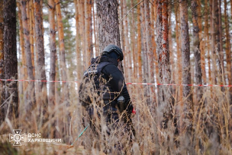 #Харківщина: щодня сапери ДСНС проводять обстеження та очищення лісових масивів, сільськогосподарських угідь... #Харківщина: щодня сапери ДСНС проводять обстеження та очищення лісових масивів, сільськогосподарських угідь...