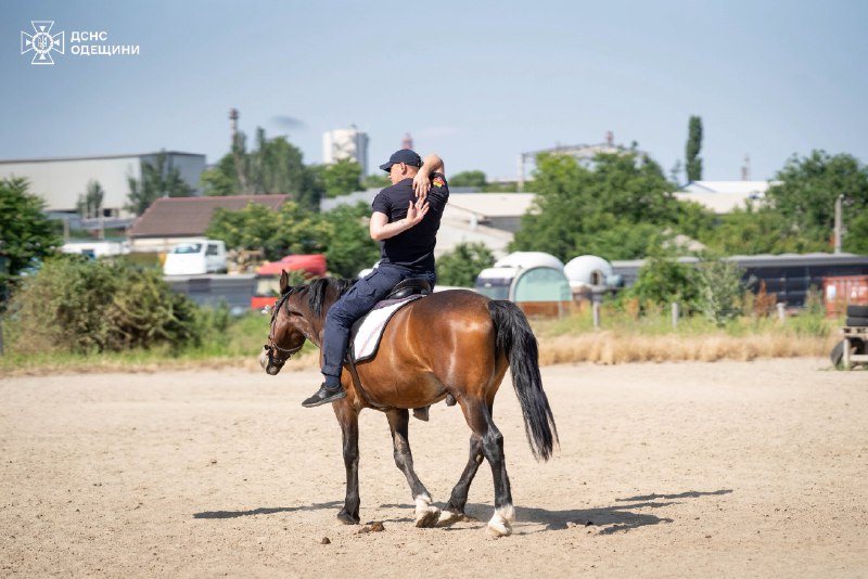 В Одесі триває курс іпотерапії для саперів ДСНС 🐎
Після роботи на деокупованих територіях В Одесі триває курс іпотерапії для саперів ДСНС 🐎
Після роботи на деокупованих територіях