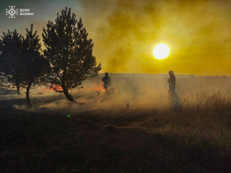 #фото_тижня
Вогонь не знає жалю…
Палає земля, гинуть тварини, задихається небо… Українські екосистеми - у вогні #фото_тижня
Вогонь не знає жалю…
Палає земля, гинуть тварини, задихається небо… Українські екосистеми - у вогні