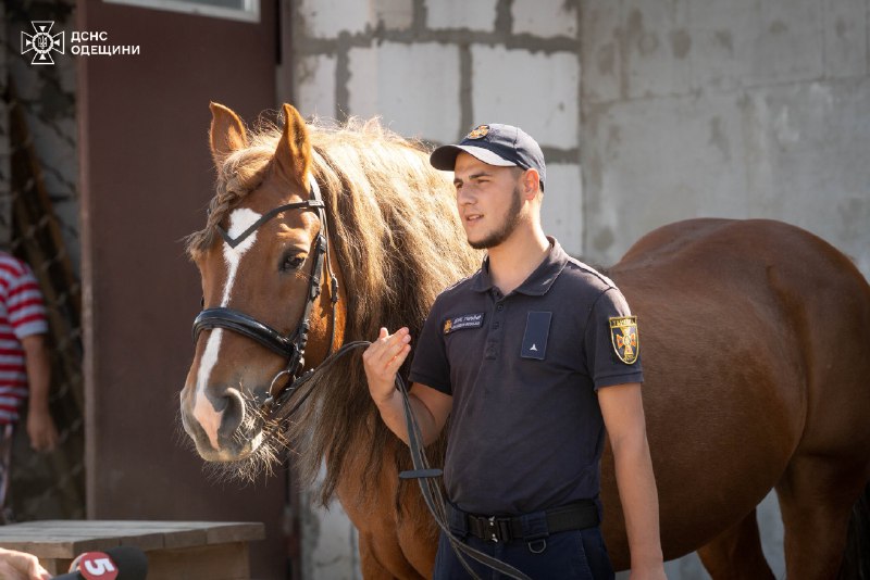 В Одесі триває курс іпотерапії для саперів ДСНС 🐎
Після роботи на деокупованих територіях В Одесі триває курс іпотерапії для саперів ДСНС 🐎
Після роботи на деокупованих територіях