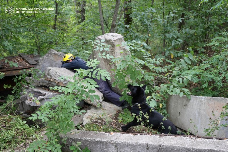 🐾🐕🦺 Службові собаки ДСНС та кінологи Мобільного рятувального центру швидкого реагування «Одеса» вдосконалюють навички пошуку людей 🐾🐕🦺 Службові собаки ДСНС та кінологи Мобільного рятувального центру швидкого реагування «Одеса» вдосконалюють навички пошуку людей