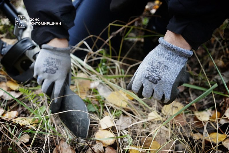 💥Під золотим килимом опалого листя можуть ховатися смертельно небезпечні міни та боєприпаси 💥Під золотим килимом опалого листя можуть ховатися смертельно небезпечні міни та боєприпаси