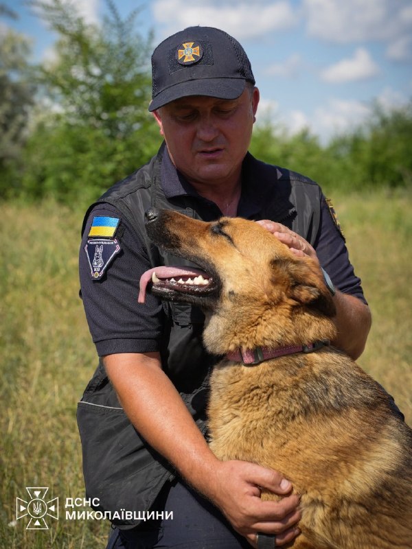 🐕Сьогодні — Міжнародний день собак. Це чудова нагода розповісти про тих, хто пліч-о-пліч із рятувальниками працює там 🐕Сьогодні — Міжнародний день собак. Це чудова нагода розповісти про тих, хто пліч-о-пліч із рятувальниками працює там