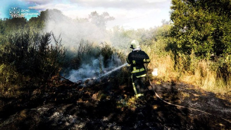 ❗️Київщина: у Бучанському районі загинув 61-річний чоловік під час пожежі в екосистемі ❗️Київщина: у Бучанському районі загинув 61-річний чоловік під час пожежі в екосистемі