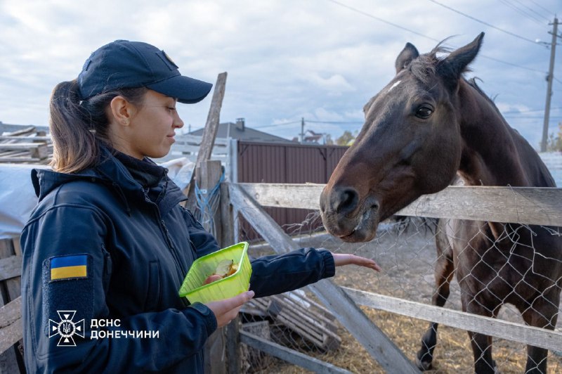 🐎 Іпотерапія як шлях до відновлення
Психологічна підтримка рятувальників Донеччини — важлива складова турботи про тих 🐎 Іпотерапія як шлях до відновлення
Психологічна підтримка рятувальників Донеччини — важлива складова турботи про тих