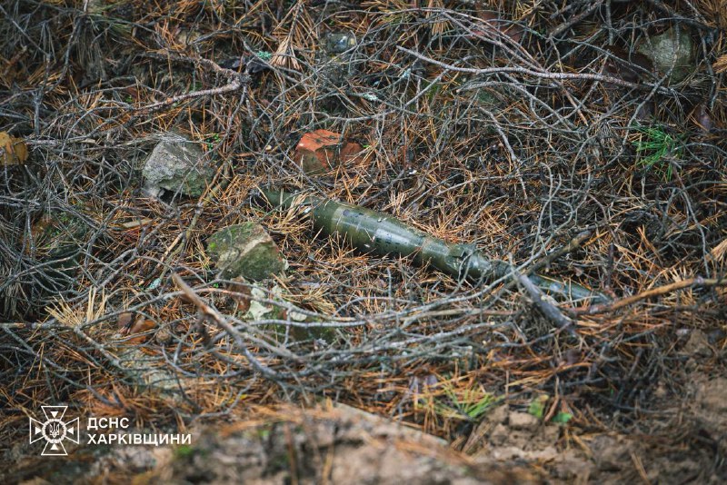 #Харківщина: щодня сапери ДСНС проводять обстеження та очищення лісових масивів, сільськогосподарських угідь... #Харківщина: щодня сапери ДСНС проводять обстеження та очищення лісових масивів, сільськогосподарських угідь...