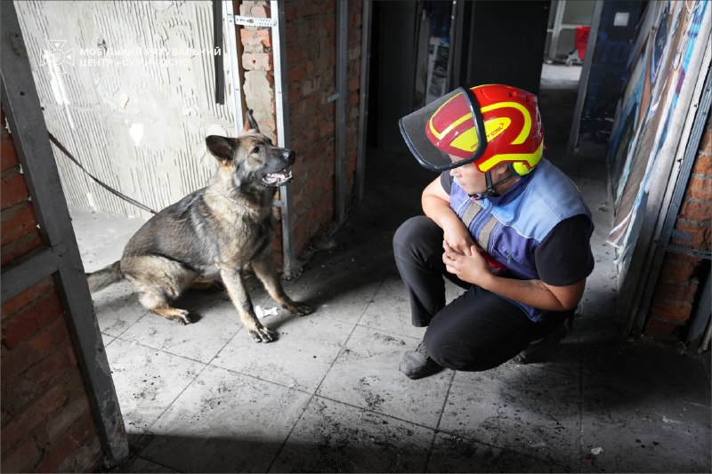 🐕Як тренується майбутня чотирилапа рятувальниця ДСНС Ася
Попри свій юний вік, вона вже демонструє витримку 🐕Як тренується майбутня чотирилапа рятувальниця ДСНС Ася
Попри свій юний вік, вона вже демонструє витримку