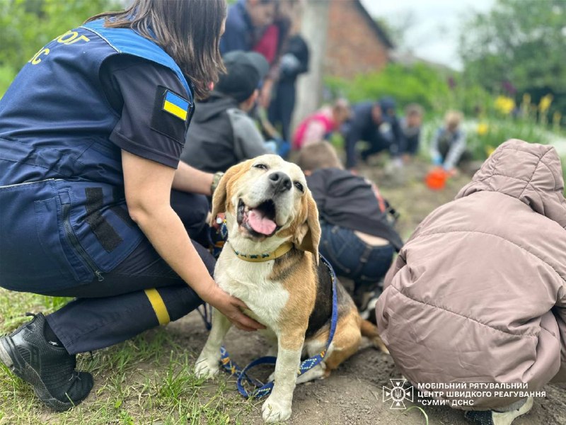 🐕 Рятувальники разом із чотирилапим помічником Тото завітали до юннатів гуртка «Природа навколо нас» 🐕 Рятувальники разом із чотирилапим помічником Тото завітали до юннатів гуртка «Природа навколо нас»