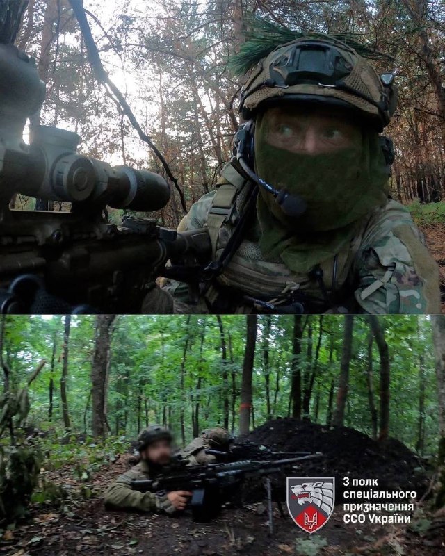 🐺Найцінніші фото — не ті, що ідеально зняті. А ті, які зроблені «своїми» 🐺Найцінніші фото — не ті, що ідеально зняті. А ті, які зроблені «своїми»