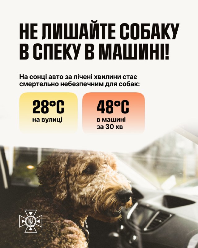 🐾 Спека в Україні: бережіть чотирилапих друзів! 🐾
Температура повітря сягає +33…+36°C 🐾 Спека в Україні: бережіть чотирилапих друзів! 🐾
Температура повітря сягає +33…+36°C