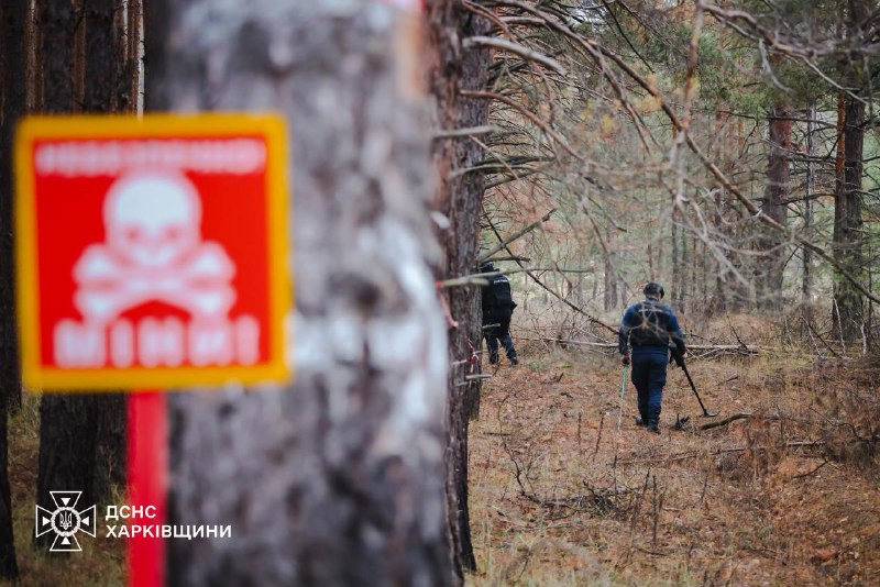 #Харківщина: щодня сапери ДСНС проводять обстеження та очищення лісових масивів, сільськогосподарських угідь... #Харківщина: щодня сапери ДСНС проводять обстеження та очищення лісових масивів, сільськогосподарських угідь...