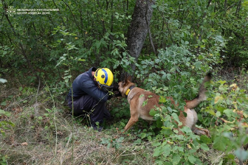 🐾🐕🦺 Службові собаки ДСНС та кінологи Мобільного рятувального центру швидкого реагування «Одеса» вдосконалюють навички пошуку людей 🐾🐕🦺 Службові собаки ДСНС та кінологи Мобільного рятувального центру швидкого реагування «Одеса» вдосконалюють навички пошуку людей