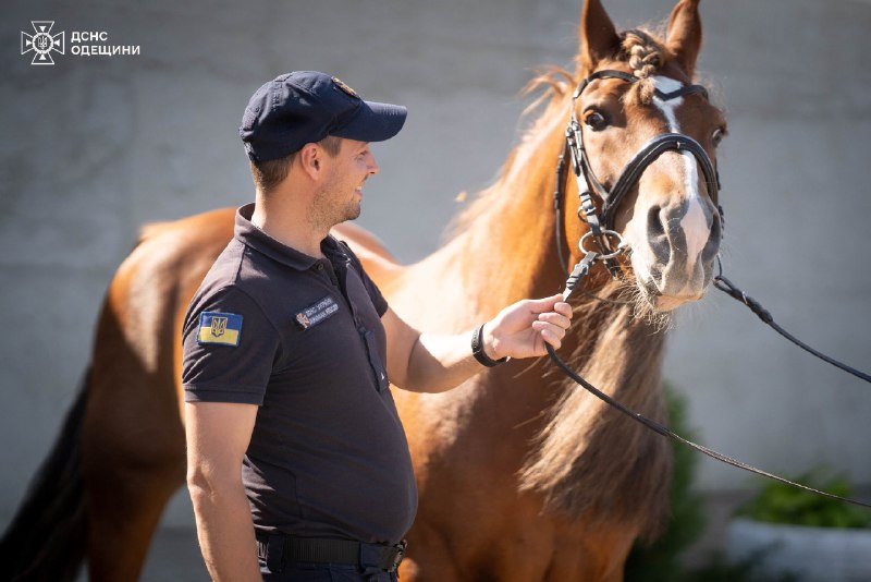 В Одесі триває курс іпотерапії для саперів ДСНС 🐎
Після роботи на деокупованих територіях В Одесі триває курс іпотерапії для саперів ДСНС 🐎
Після роботи на деокупованих територіях
