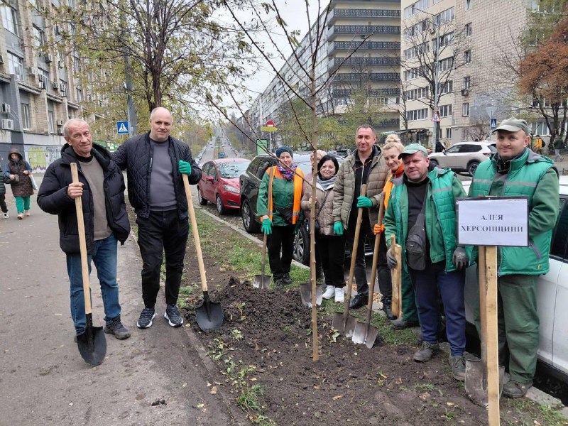 Команда Гуманітарного центру допомоги херсонцям «Вільні разом» у Києві висадила алею молодих дерев🌳 Команда Гуманітарного центру допомоги херсонцям «Вільні разом» у Києві висадила алею молодих дерев🌳