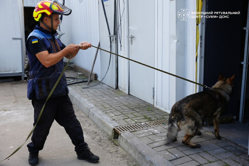 🐕Як тренується майбутня чотирилапа рятувальниця ДСНС Ася
Попри свій юний вік, вона вже демонструє витримку 🐕Як тренується майбутня чотирилапа рятувальниця ДСНС Ася
Попри свій юний вік, вона вже демонструє витримку