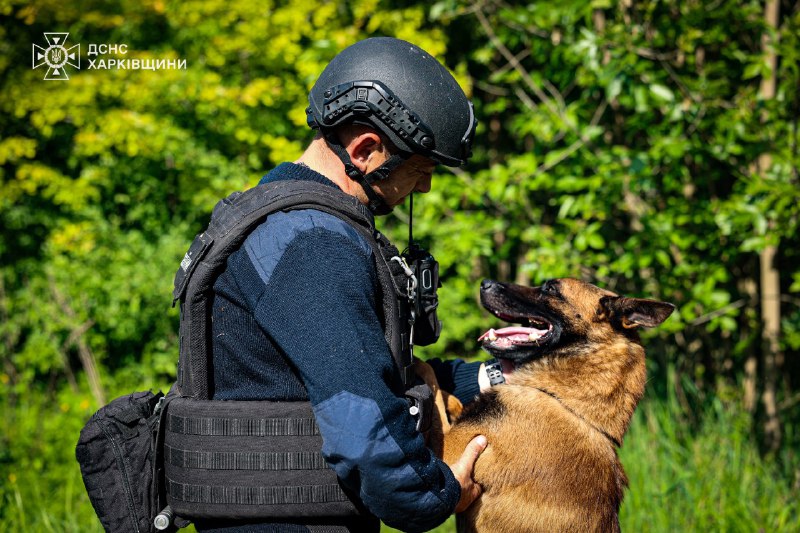 🐾На Харківщині працюють кінологічні розрахунки Міжрегіонального центру швидкого реагування ДСНС України 🐾На Харківщині працюють кінологічні розрахунки Міжрегіонального центру швидкого реагування ДСНС України