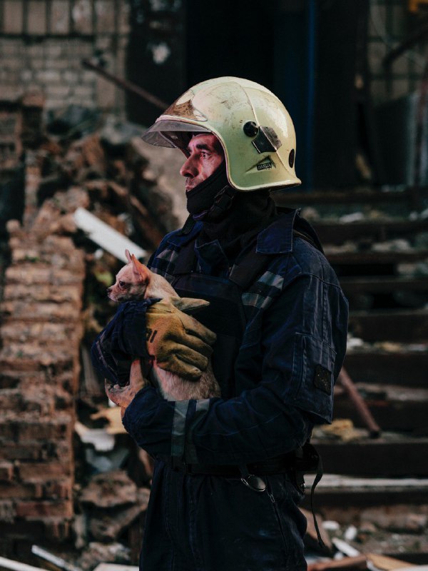 ‼️Серед уламків зруйнованого будинку в Києві рятувальники шукали всіх – і людей, і тварин ‼️Серед уламків зруйнованого будинку в Києві рятувальники шукали всіх – і людей, і тварин