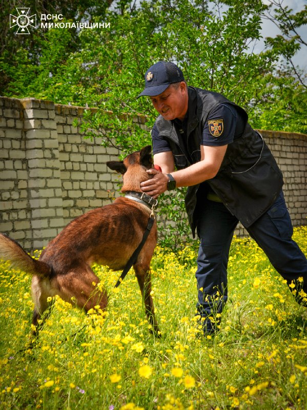 🐕 🐾 Знайомтеся — службовий собака-розміновувач Паша
❤️ Енергійний, кмітливий і дуже товариський пес став справжнім улюбленцем колег 🐕 🐾 Знайомтеся — службовий собака-розміновувач Паша
❤️ Енергійний, кмітливий і дуже товариський пес став справжнім улюбленцем колег