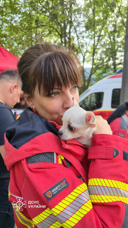‼️Серед уламків зруйнованого будинку в Києві рятувальники шукали всіх – і людей, і тварин ‼️Серед уламків зруйнованого будинку в Києві рятувальники шукали всіх – і людей, і тварин