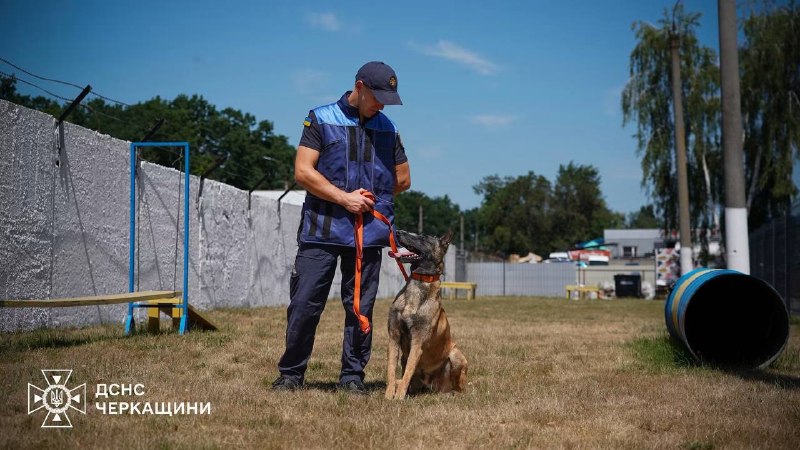 🐕🦺 Службовий пес ДСНС Блерт із Черкащини щодня вдосконалює свої пошуково-рятувальні навички 🐕🦺 Службовий пес ДСНС Блерт із Черкащини щодня вдосконалює свої пошуково-рятувальні навички