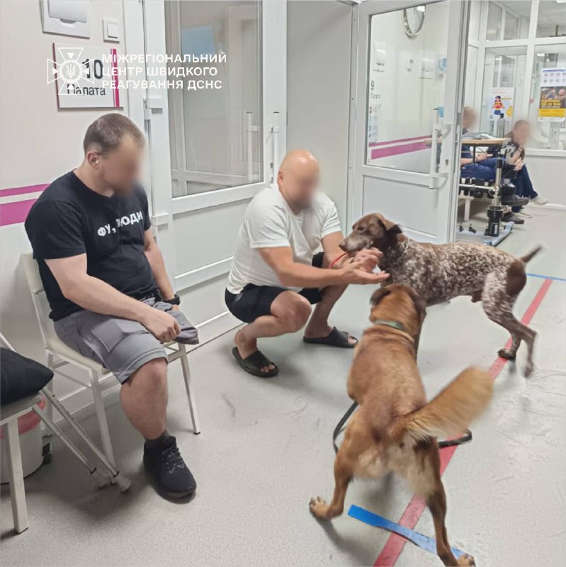 🐾 Курцхаар Джон та бельгійська вівчарка Міла з Міжрегіонального центру швидкого реагування ДСНС України 🐾 Курцхаар Джон та бельгійська вівчарка Міла з Міжрегіонального центру швидкого реагування ДСНС України