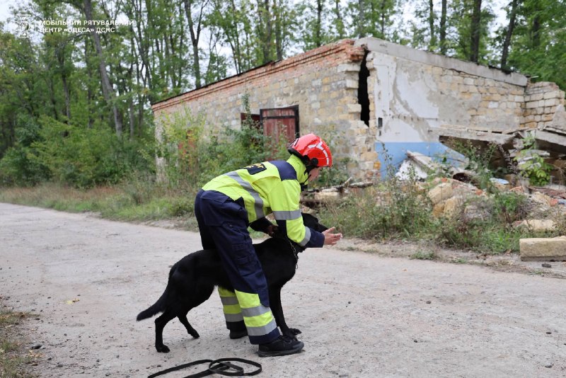 🐾🐕🦺 Службові собаки ДСНС та кінологи Мобільного рятувального центру швидкого реагування «Одеса» вдосконалюють навички пошуку людей 🐾🐕🦺 Службові собаки ДСНС та кінологи Мобільного рятувального центру швидкого реагування «Одеса» вдосконалюють навички пошуку людей