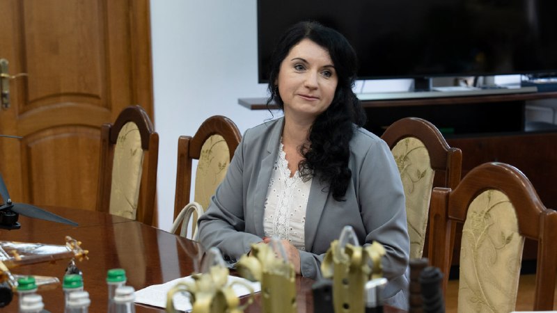 Провів зустріч із радницею з питань національних спільнот Наталією Василенко Провів зустріч із радницею з питань національних спільнот Наталією Василенко
