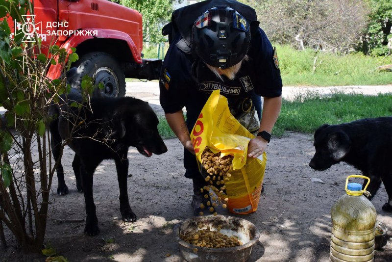 #герої_без_зброї
«Страх нікуди не зникає - але він не сильніший за відповідальність», - пресофіцерка ДСНС Запоріжжя Ганна Логвіненко #герої_без_зброї
«Страх нікуди не зникає - але він не сильніший за відповідальність», - пресофіцерка ДСНС Запоріжжя Ганна Логвіненко