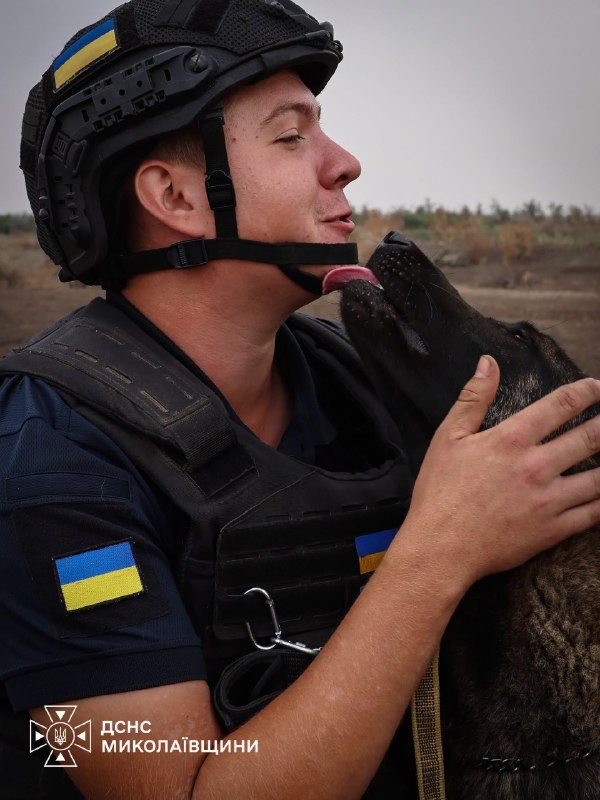 🐕Сьогодні — Міжнародний день собак. Це чудова нагода розповісти про тих, хто пліч-о-пліч із рятувальниками працює там 🐕Сьогодні — Міжнародний день собак. Це чудова нагода розповісти про тих, хто пліч-о-пліч із рятувальниками працює там
