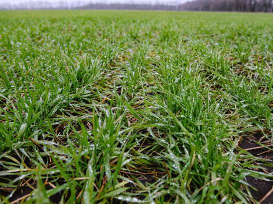🌾Наші аграрії продовжують системно працювати на урожай 2026.
Озимими засіяно понад 480 тис 🌾Наші аграрії продовжують системно працювати на урожай 2026.
Озимими засіяно понад 480 тис