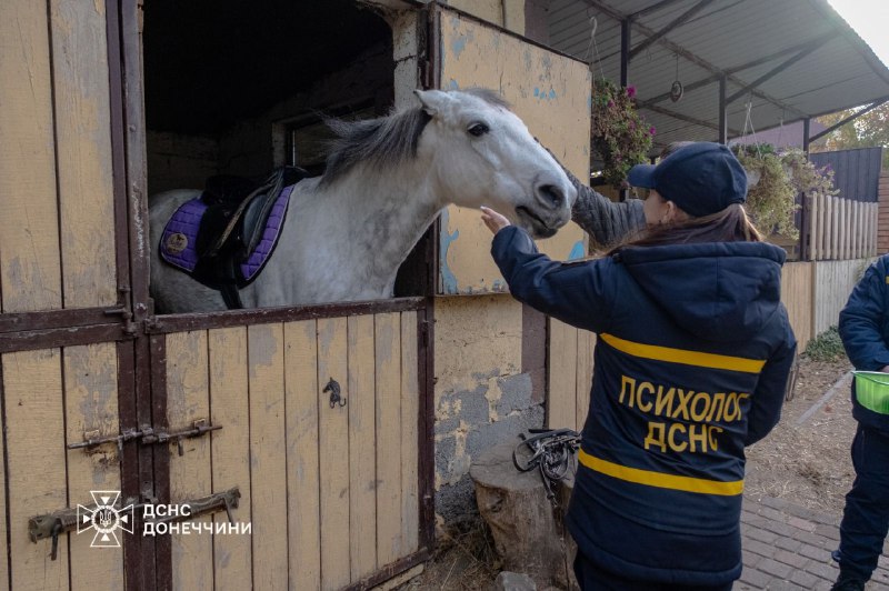 🐎 Іпотерапія як шлях до відновлення
Психологічна підтримка рятувальників Донеччини — важлива складова турботи про тих 🐎 Іпотерапія як шлях до відновлення
Психологічна підтримка рятувальників Донеччини — важлива складова турботи про тих