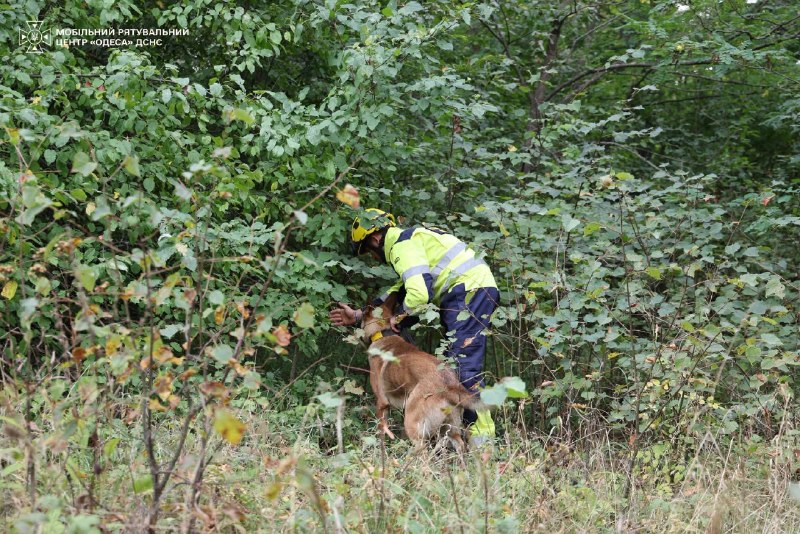 🐾🐕🦺 Службові собаки ДСНС та кінологи Мобільного рятувального центру швидкого реагування «Одеса» вдосконалюють навички пошуку людей 🐾🐕🦺 Службові собаки ДСНС та кінологи Мобільного рятувального центру швидкого реагування «Одеса» вдосконалюють навички пошуку людей