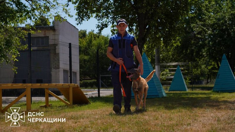 🐕🦺 Службовий пес ДСНС Блерт із Черкащини щодня вдосконалює свої пошуково-рятувальні навички 🐕🦺 Службовий пес ДСНС Блерт із Черкащини щодня вдосконалює свої пошуково-рятувальні навички